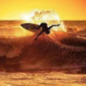 Meet your Posher, Quinn